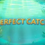 Perfect Catch