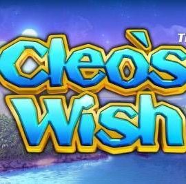 Cleo’s Wish