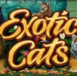 Exotic Cats