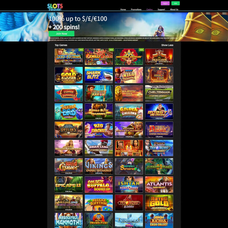 Slots paradise casino screenshot 2