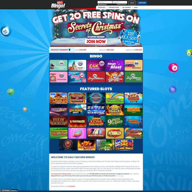 day-to-day Record Bingo screenshot 1